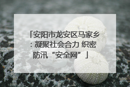 安阳市龙安区马家乡：凝聚社会合力 织密防汛“安全网”